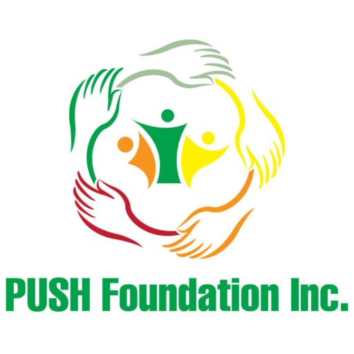 Push Foundation INC